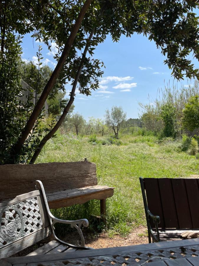 Casa Rural Con Jardin,A 8Km Playa Y En La Naturaleza Taronja&Canyella Ardenya Kültér fotó
