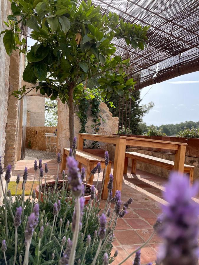 Casa Rural Con Jardin,A 8Km Playa Y En La Naturaleza Taronja&Canyella Ardenya Kültér fotó