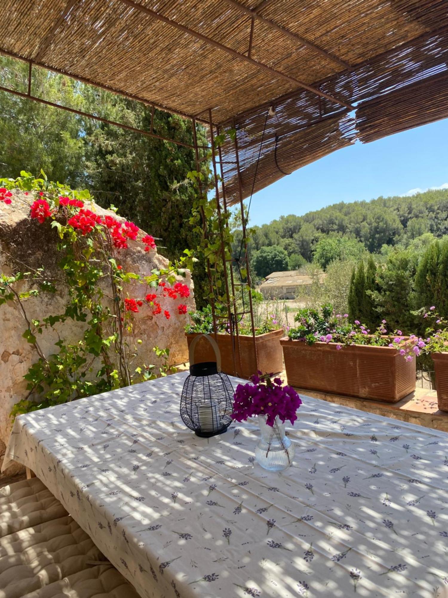 Casa Rural Con Jardin,A 8Km Playa Y En La Naturaleza Taronja&Canyella Ardenya Kültér fotó