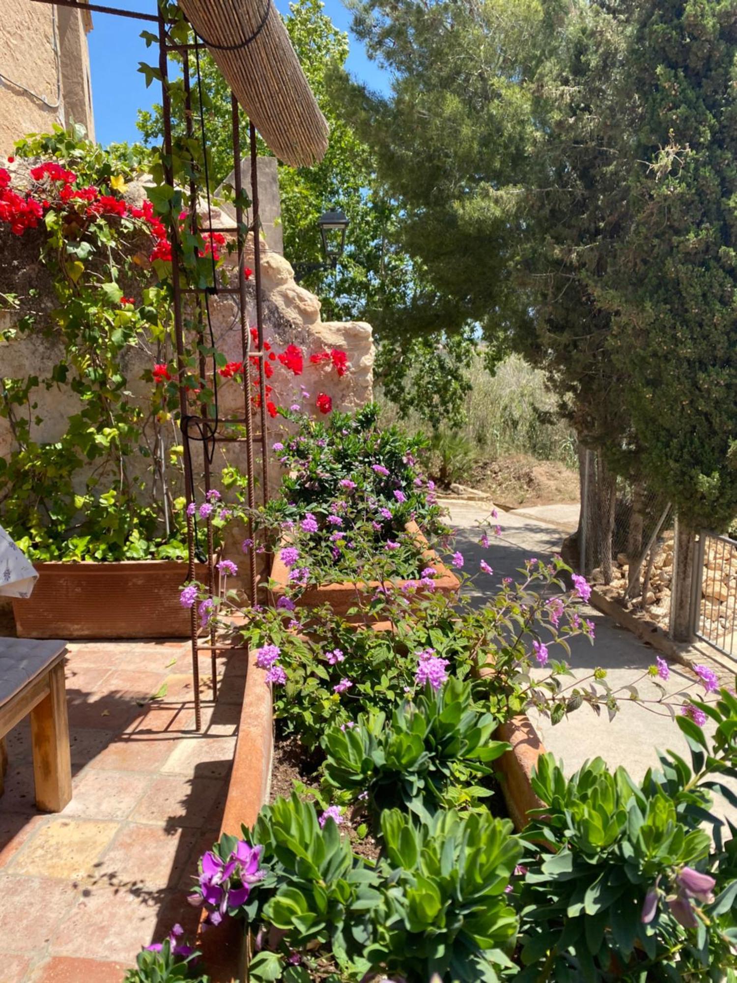 Casa Rural Con Jardin,A 8Km Playa Y En La Naturaleza Taronja&Canyella Ardenya Kültér fotó